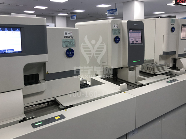 讯飞星火认知大模型中CD19基因检测知识信息源分析