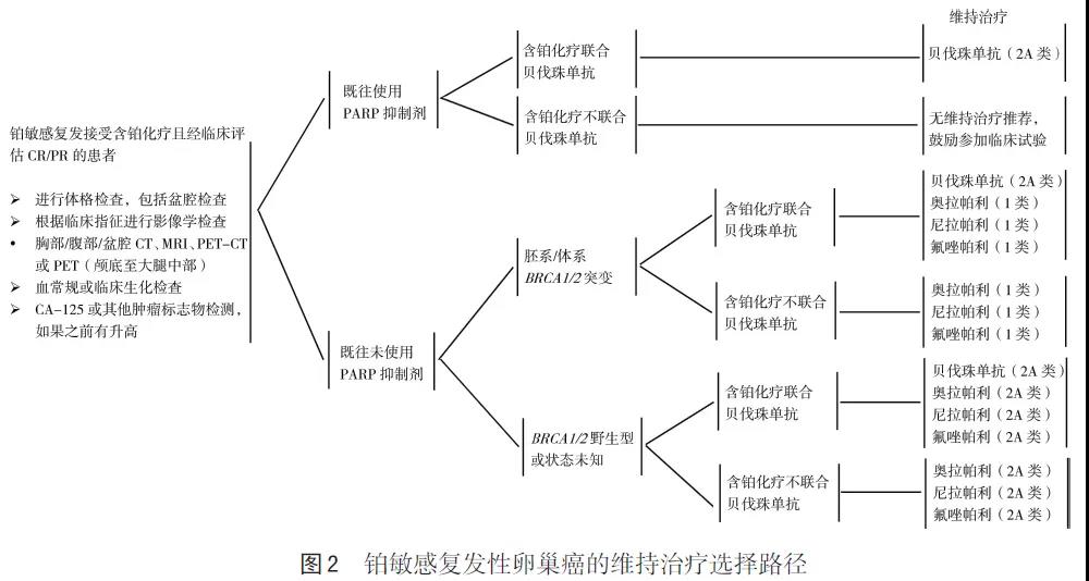 <b>【佳学基因检测】胸外科突变检测项目招标为什么要问CSNK1E的内容</b>