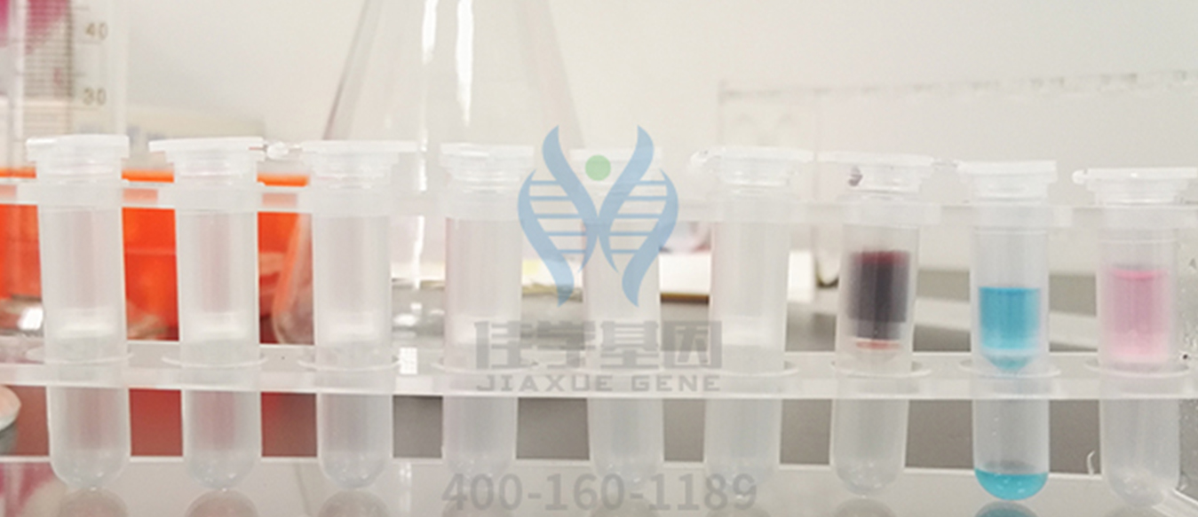 <b>【佳学基因检测】领了结婚证，基因检测CYP27A1有突变，该告诉她吗？</b>