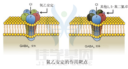 <b>【佳学基因检测】临床医学硕士关于ADAM3B基因测试的必备内容</b>