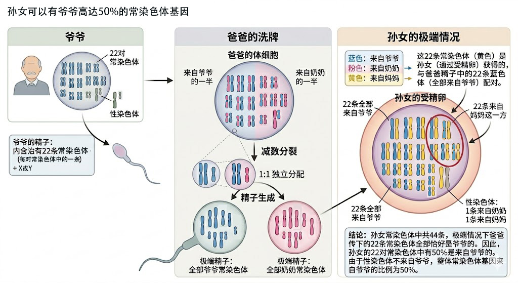 【佳学基因检测