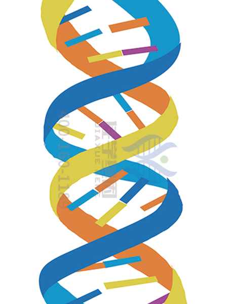 【佳学基因检测】<font color='red'>眼科</font>遗传病基因检测包（panel)包括你检测的内容了吗？