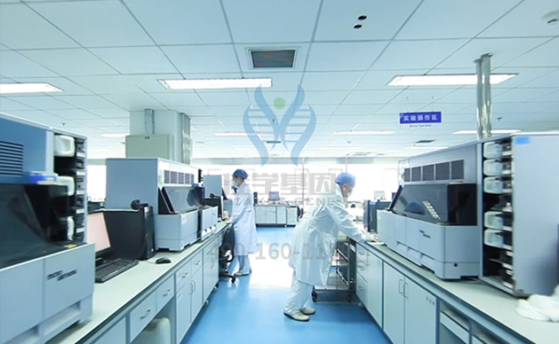 【佳学基因-基因检测】日本历史上先进位平民皇后美智子——罕见连心眉让她