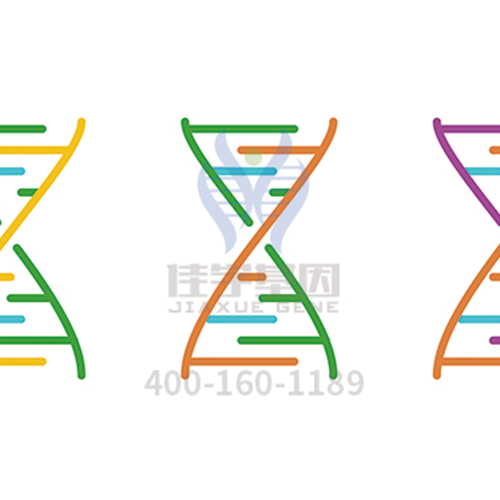 【佳学基因检测】<font color='red'>眼科</font>遗传病之眼裂闭锁基因解码、基因检测突破性研究