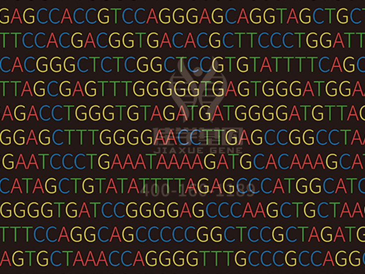 【佳学基因检测】Y染色体相关<font color='red'><font color='red'>无精</font>症</font>基因解码、基因检测