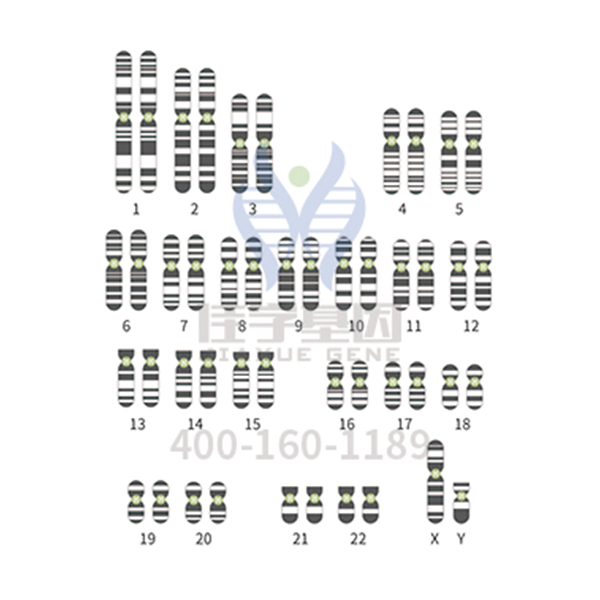 【佳学基因解码
