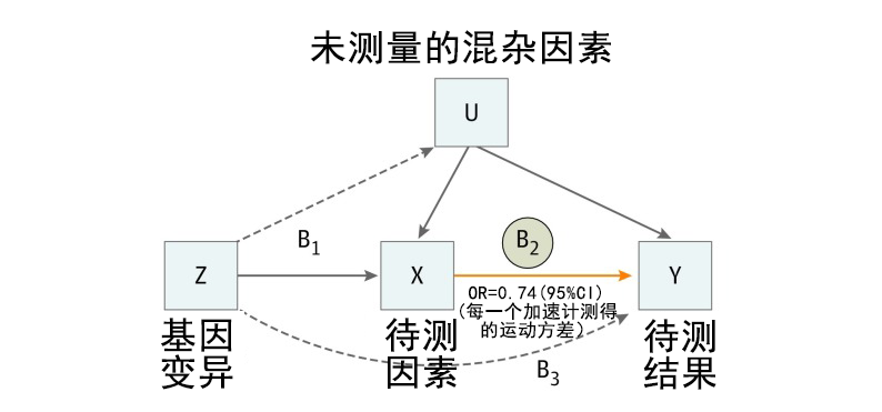 佳学基因解码通过孟德尔随机化法研究两个因素之间的关系及作用方向