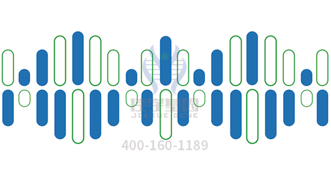 【佳学基因】女