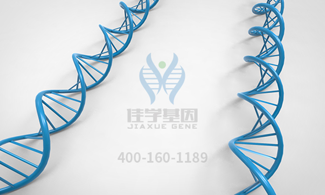 【佳学基因检测】解码<font color='red'><font color='red'>鱼鳞病</font></font>的基因奥秘：精准诊断与治疗新突破