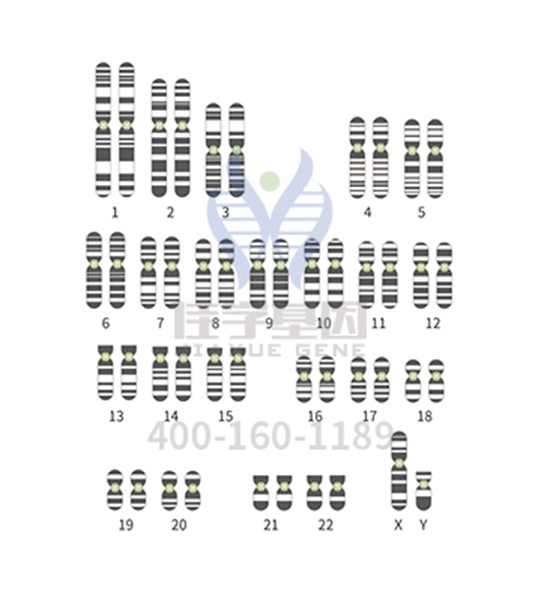 <b>【佳学基因检测】防止儿童患佝偻病，应早发现早治疗</b>